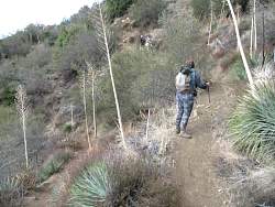 IMG_9715.jpg