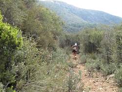 IMG_9717.jpg