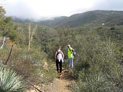 IMG_9720.jpg