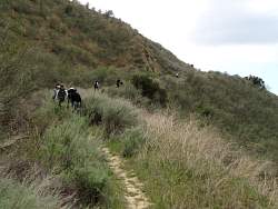 IMG_9913.jpg
