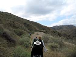 IMG_9914.jpg