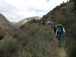 IMG_9915.jpg