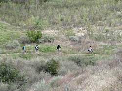 IMG_9928.jpg