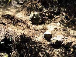 IMG_0173.jpg