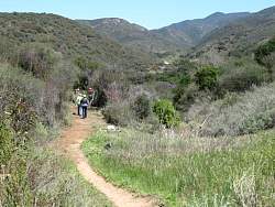 IMG_0219.jpg