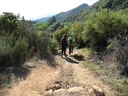 IMG_0680.jpg
