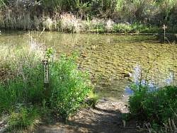 IMG_0686.jpg