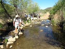 IMG_0695.jpg