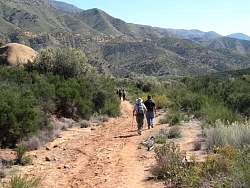 IMG_0712.jpg