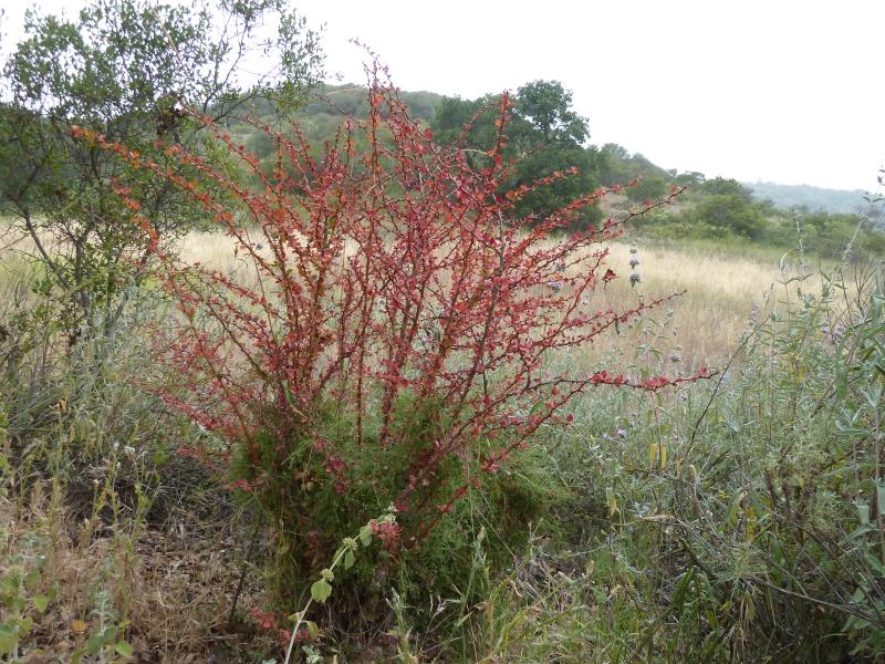 P1150011.jpg