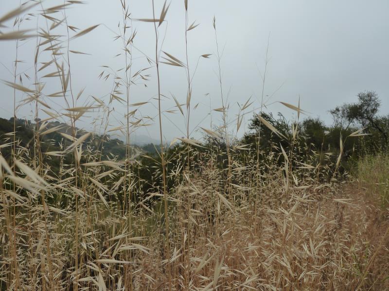 P1150034.jpg
