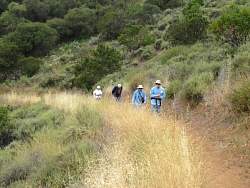 IMG_0926.jpg