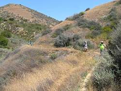 IMG_1037.jpg