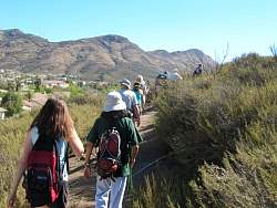 IMG_1259.jpg