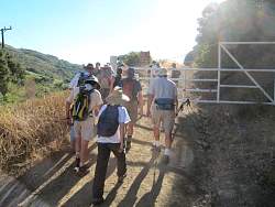 IMG_1356.jpg