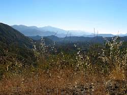IMG_1360.jpg