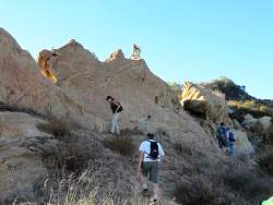 IMG_1386.jpg