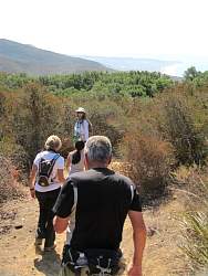 IMG_1455.jpg