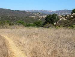 IMG_1466.jpg