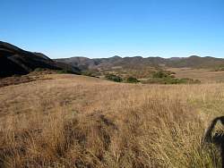 IMG_1767.jpg