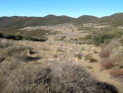 IMG_1788.jpg