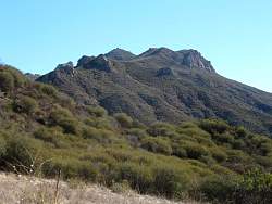 IMG_1789.jpg
