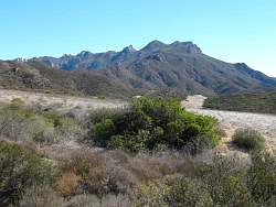IMG_1794.jpg