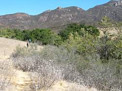 IMG_1804.jpg