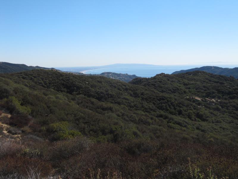IMG_1852.jpg