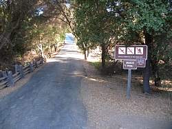 IMG_1811.jpg