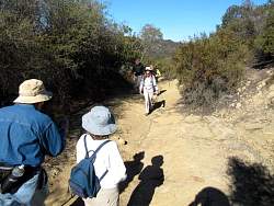 IMG_1823.jpg