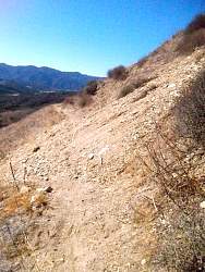 SAM_0952.jpg