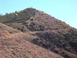 SAM_0959.jpg