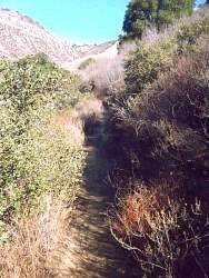 SAM_0967.jpg