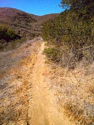 SAM_0969.jpg