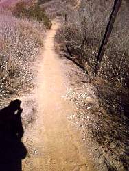 SAM_0972.jpg