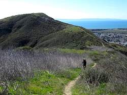 IMG_2957.jpg