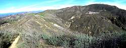 IMG_2967pan.jpg