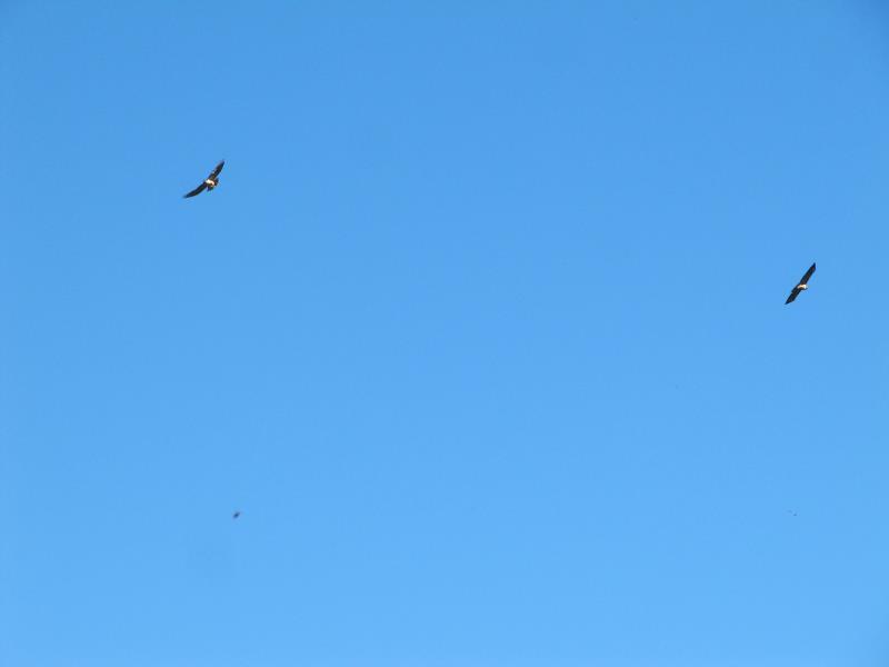 IMG_3220.jpg