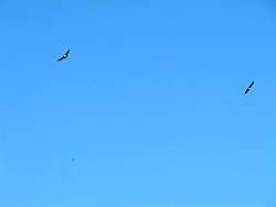 IMG_3220.jpg