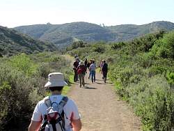 IMG_3230.jpg