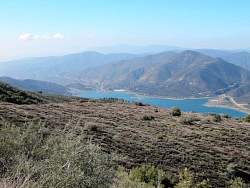IMG_3401.jpg