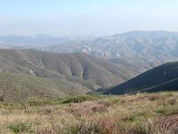 IMG_3408.jpg