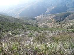 IMG_3410.jpg