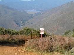 IMG_3415.jpg