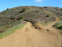IMG_3417.jpg
