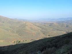 IMG_3419.jpg
