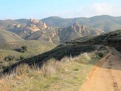 IMG_3425.jpg