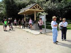 IMG_3805.jpg