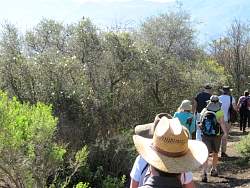 IMG_3966.jpg
